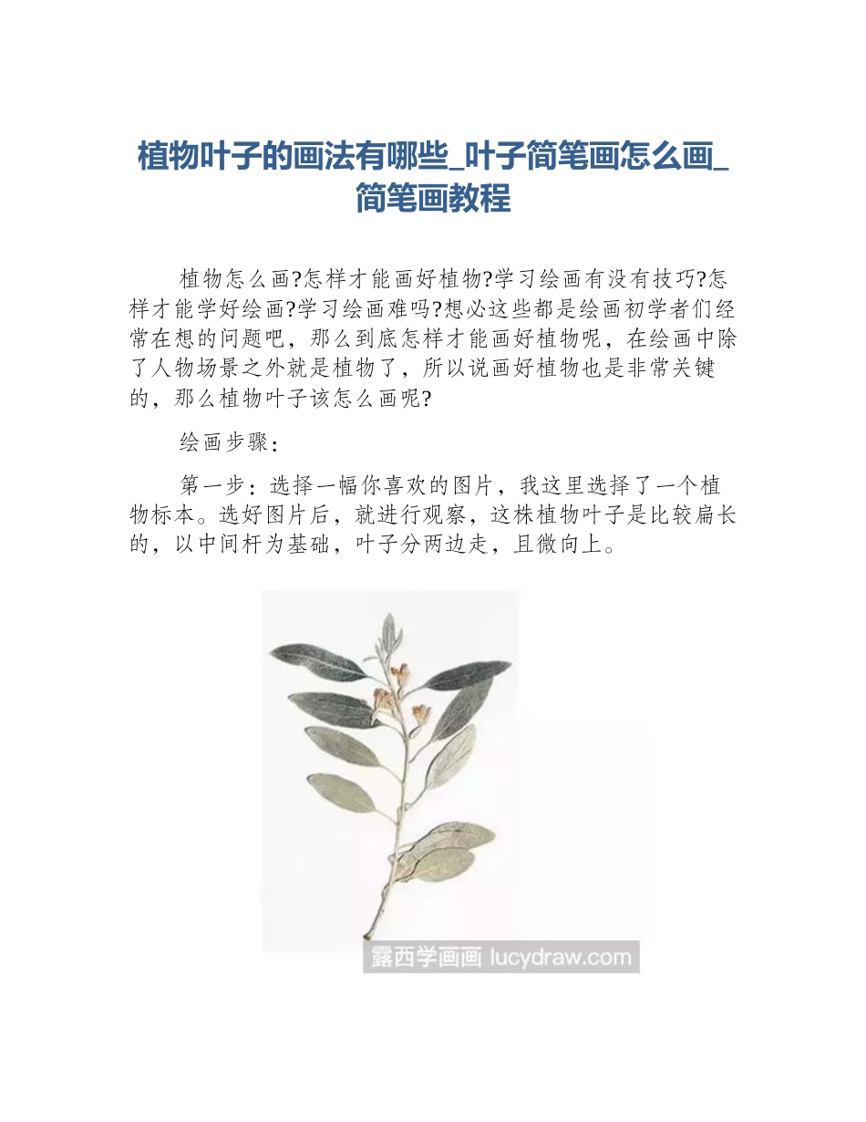 植物叶子的画法有哪些_叶子简笔画怎么画_简笔画教程_第1页