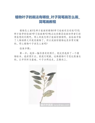 植物叶子的画法有哪些_叶子简笔画怎么画_简笔画教程