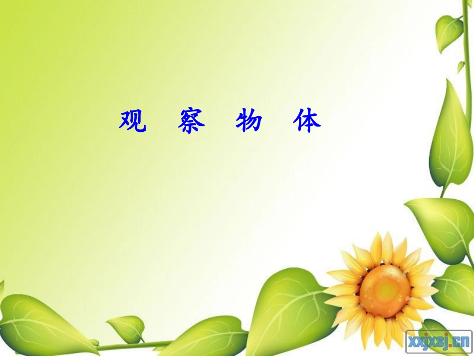 1观察物体1_第1页