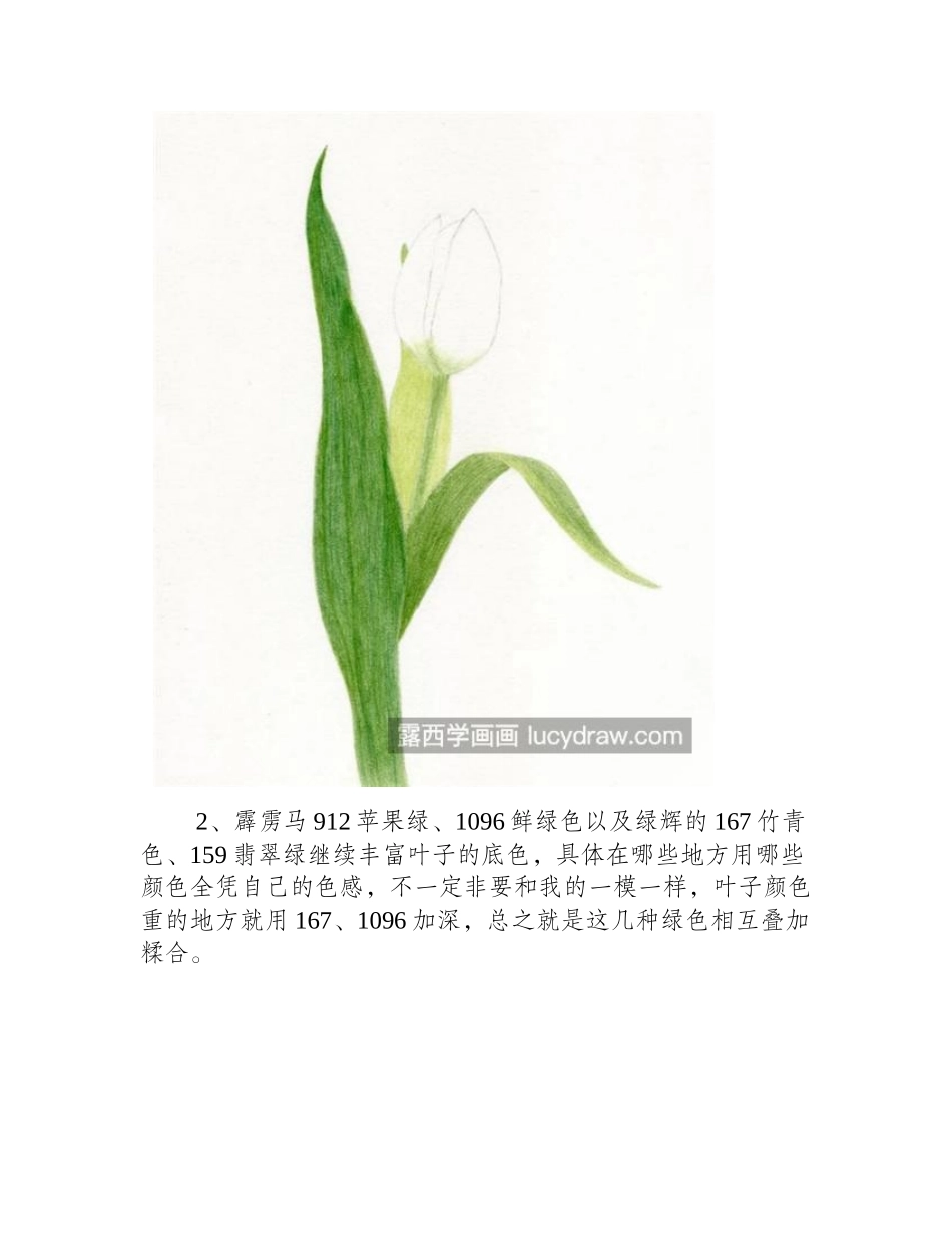 郁金香怎么画_详细的彩铅步骤有几步_彩铅画教程1_第2页