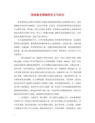 浅谈意见领袖的含义与启示 