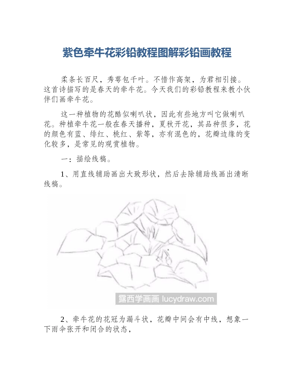 紫色牵牛花彩铅教程图解彩铅画教程_第1页