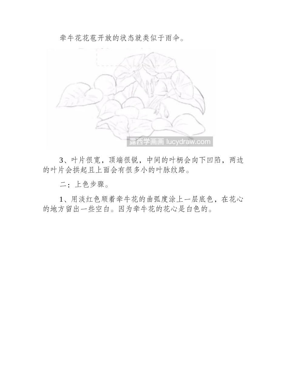 紫色牵牛花彩铅教程图解彩铅画教程_第2页