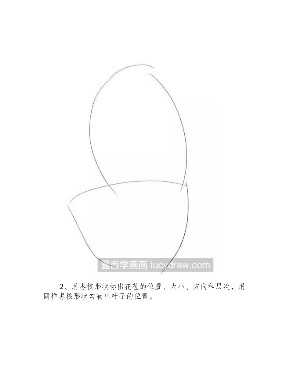 怎么绘制风信子彩铅画教程_第2页