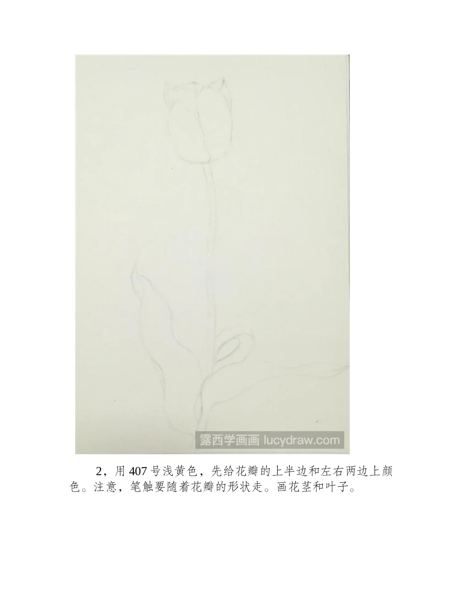郁金香的彩铅画法彩铅画教程_第2页