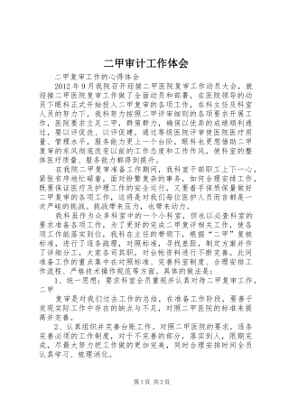 二甲审计工作体会