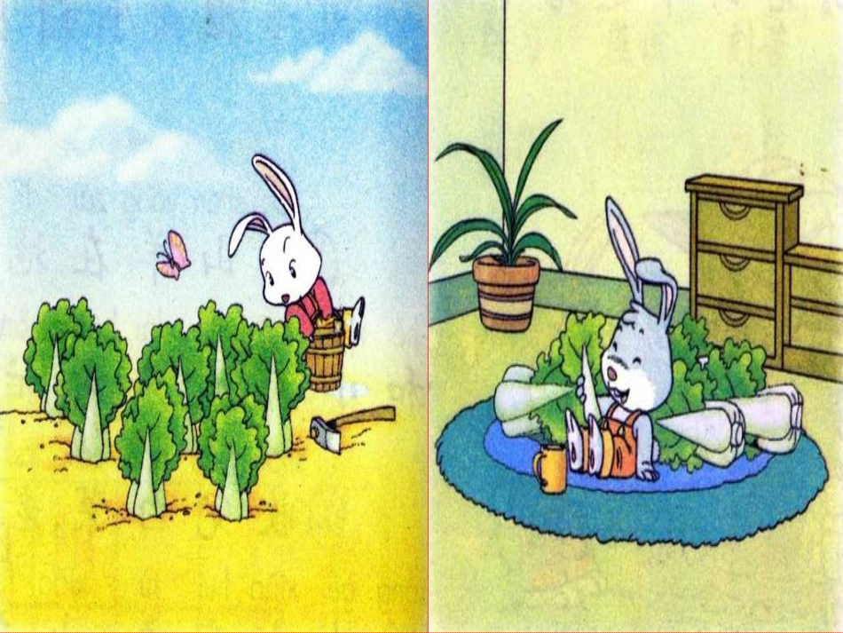 人教版一年级语文下册《小白兔和小灰兔》课件PPT_第3页