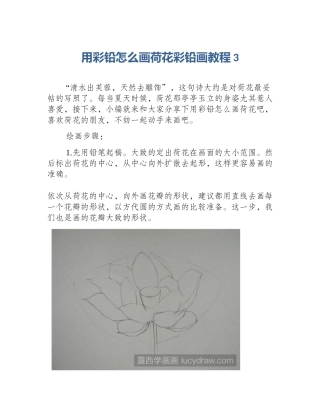 用彩铅怎么画荷花彩铅画教程3