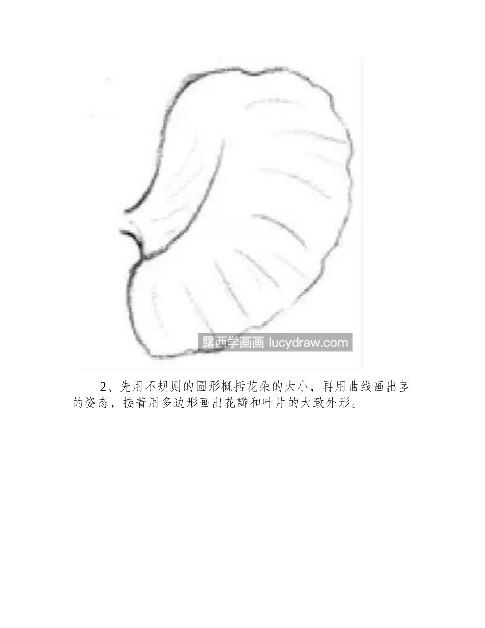 虞美人的画法是什么_虞美人素描怎么画_素描教程_第2页