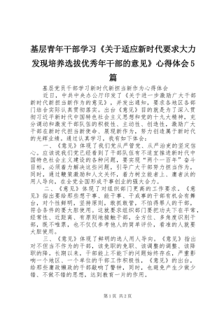 基层青年干部学习《关于适应新时代要求大力发现培养选拔优秀年干部的意见》心得体会5篇