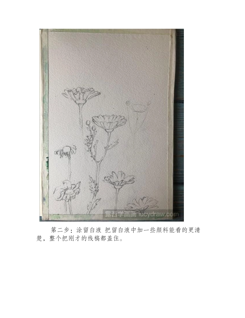 小雏菊水彩画教程水彩画教程_第2页