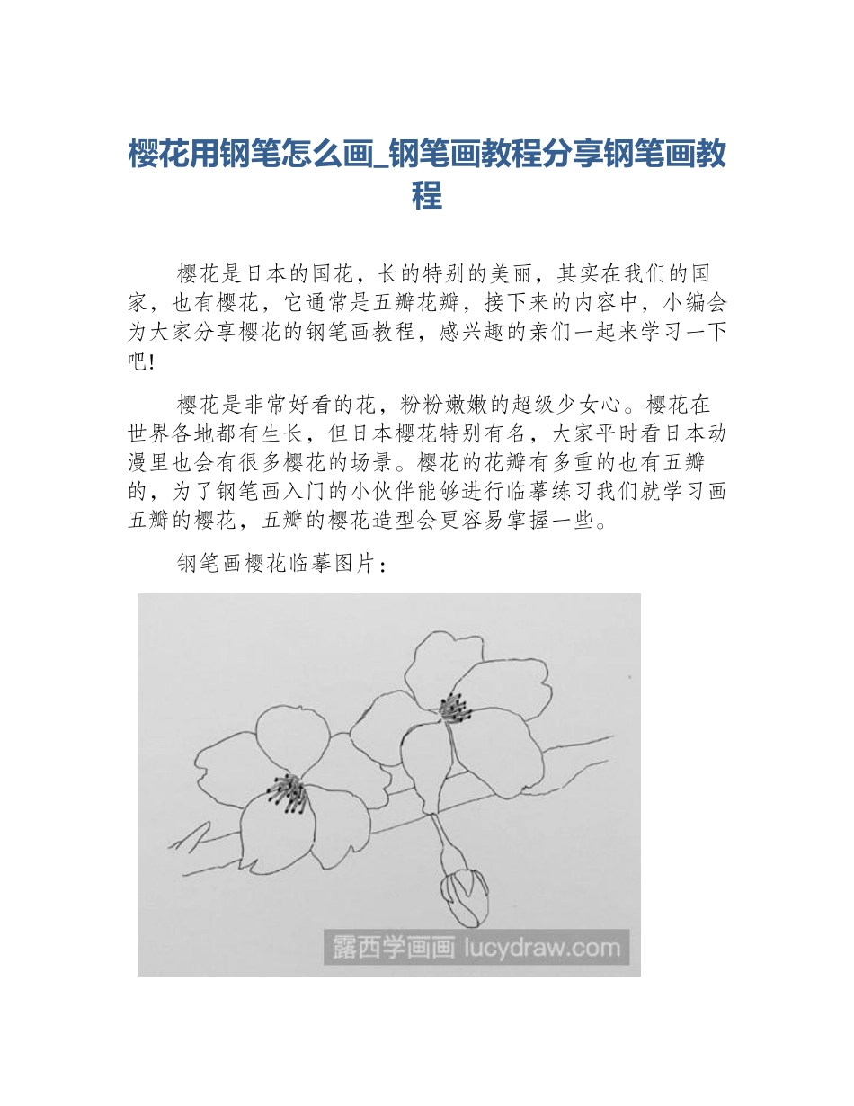 樱花用钢笔怎么画_钢笔画教程分享钢笔画教程_第1页