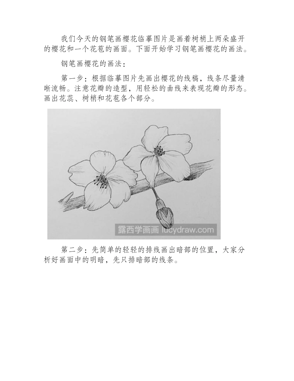 樱花用钢笔怎么画_钢笔画教程分享钢笔画教程_第2页