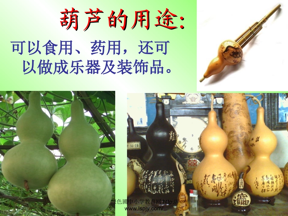《我要的是葫芦》ppt课件总_第2页