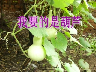 《我要的是葫芦》ppt课件总