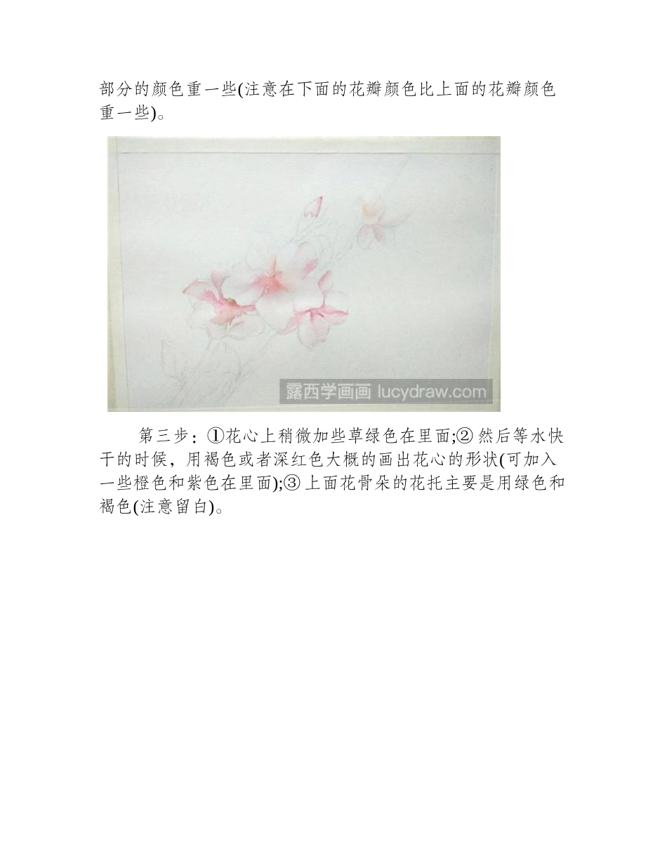 杏花水彩画教程水彩画教程_第2页