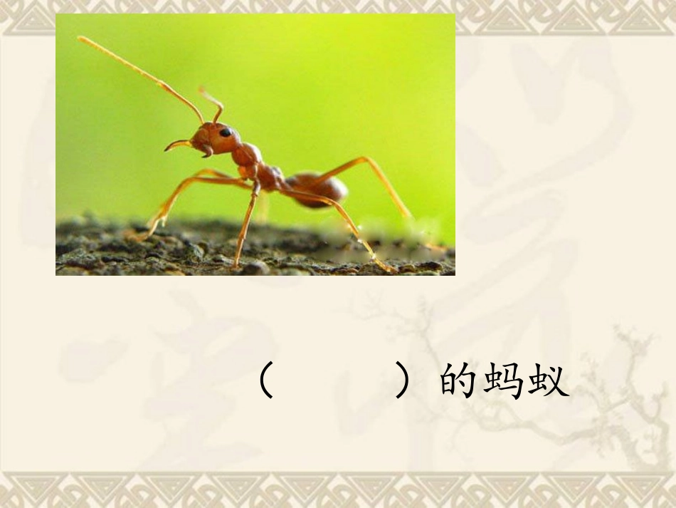 17《生命的壮歌》_第2页