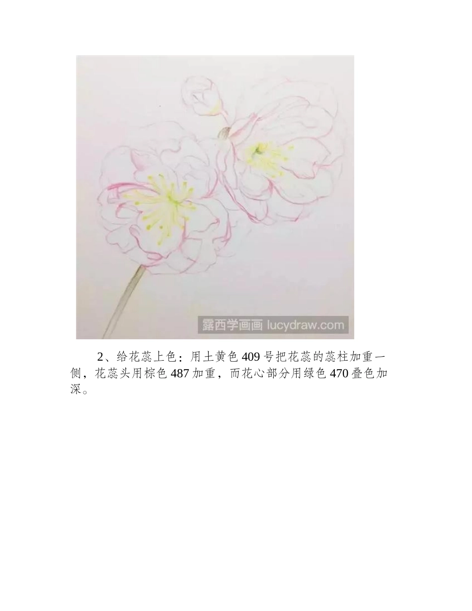 樱花水彩画怎么画_教你十五分钟完成一幅水彩樱花水彩画教程_第2页