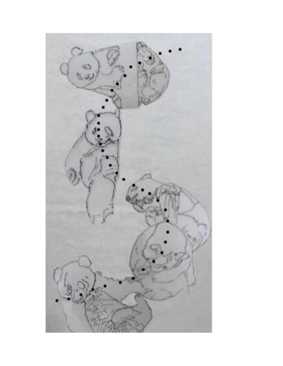 熊猫工笔画教程工笔画教程_第2页