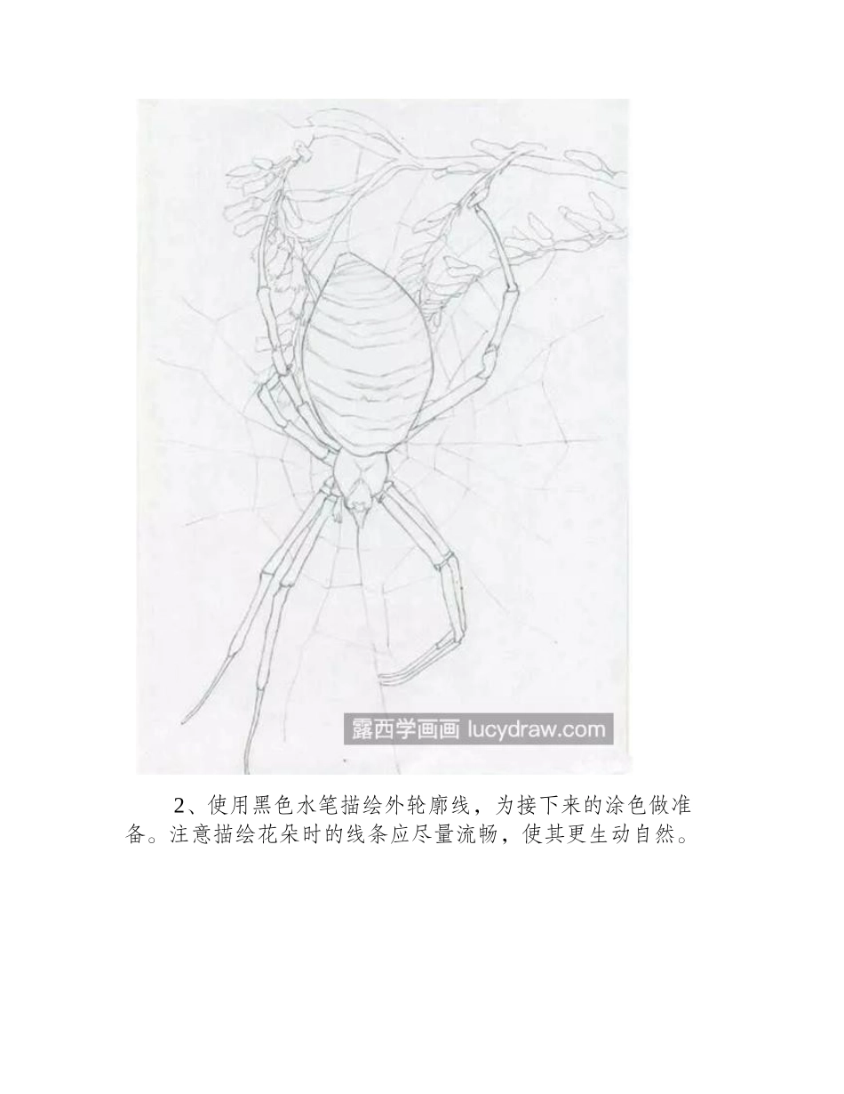 蜘蛛的画法是什么_如何画一只正在吐丝结网的蜘蛛_彩铅画教程1_第2页