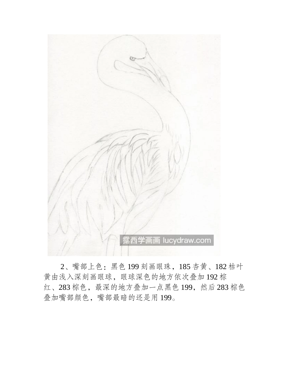 优雅的火烈鸟怎么画_详细的彩铅步骤有哪些_彩铅画教程_第2页
