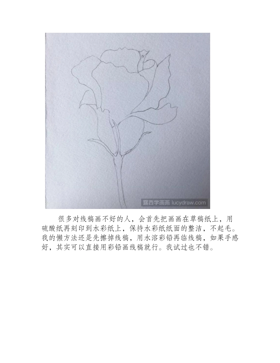 紫蓝色无名花水彩画怎么画_水彩画教程_第2页