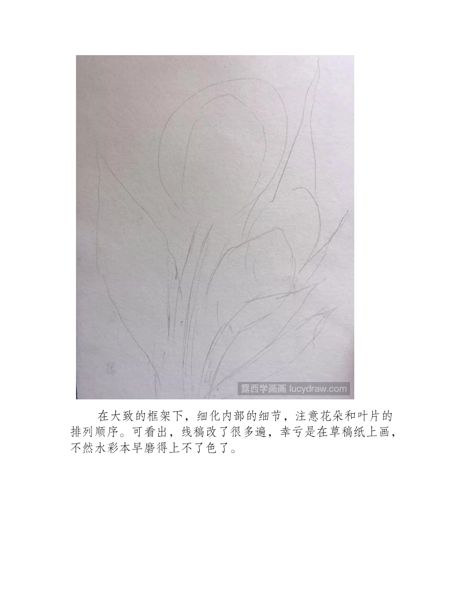 郁金香水彩画教程是什么_如何画郁金香_水彩画教程_第2页
