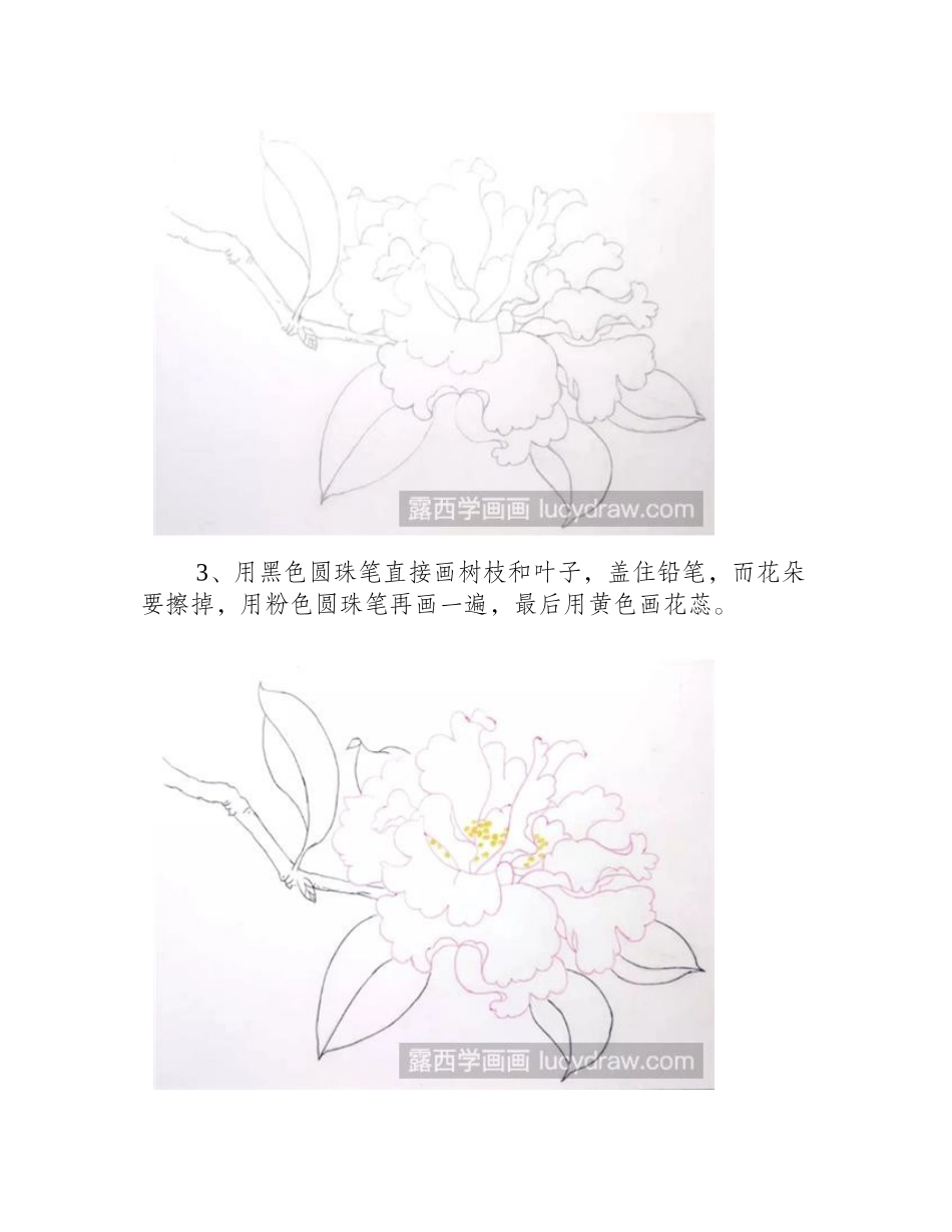 怎么用圆珠笔仿一朵工笔山茶花_绘画过程有哪些_工笔画教程_第2页