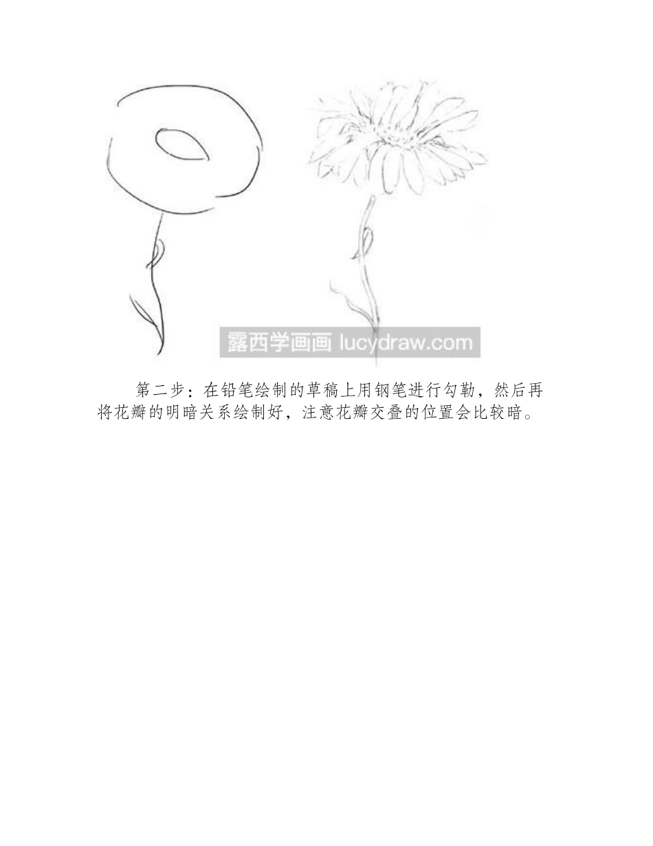 怎么绘制太阳菊钢笔画教程_第2页