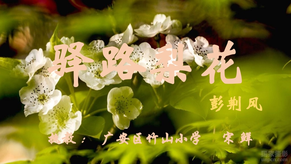 (部编)初中语文人教2011课标版七年级下册驿路梨花课件-(17)_第1页