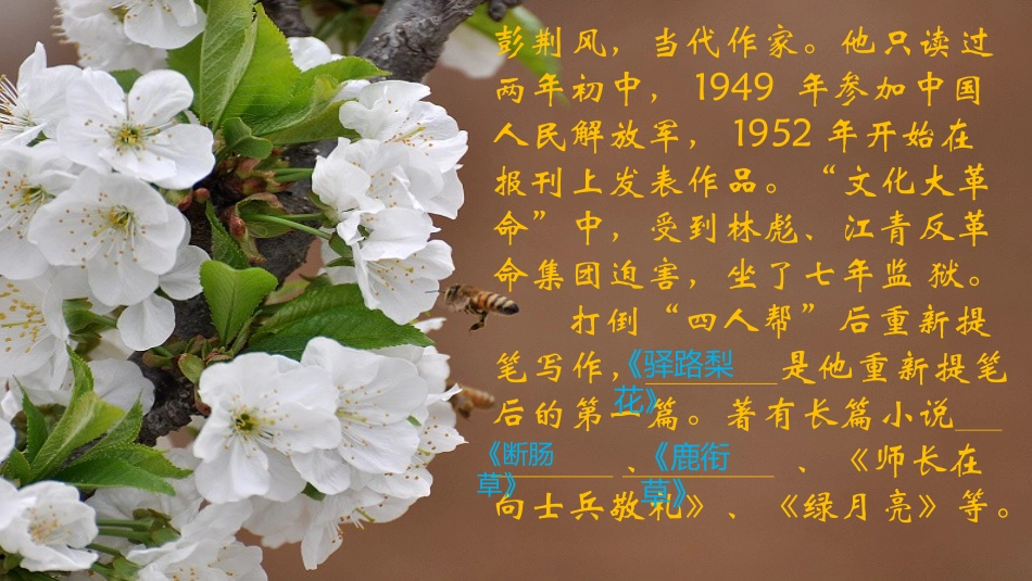 (部编)初中语文人教2011课标版七年级下册驿路梨花课件-(17)_第2页