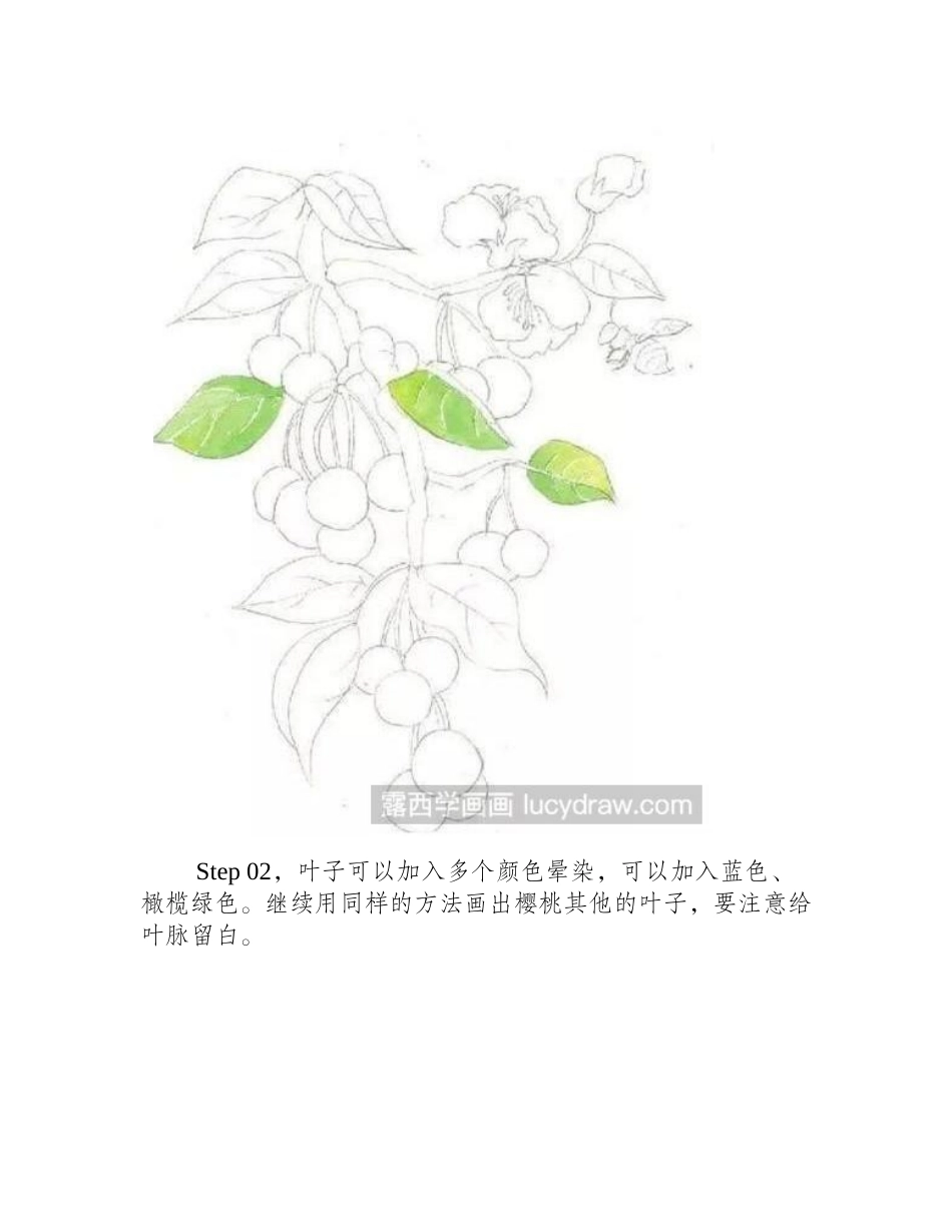 樱桃水彩画教程分享，告诉你怎么画可口的樱桃！水彩画教程_第2页