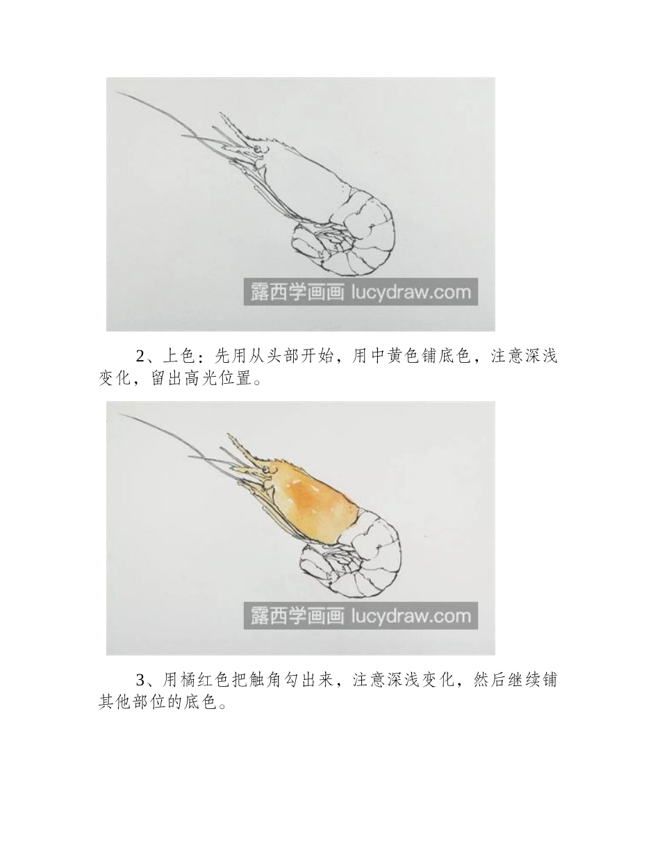小龙虾怎么画_教你画一只小龙虾水彩画教程_第2页