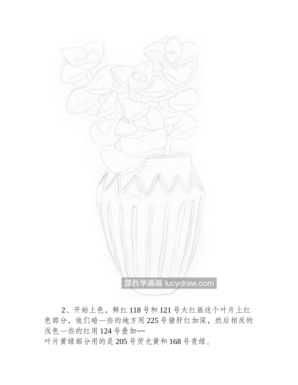 星乙女怎么画_多肉彩铅教程是什么_彩铅画教程_第2页