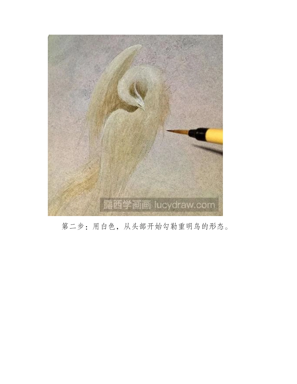 怎么画水彩画重明鸟水彩画教程_第2页