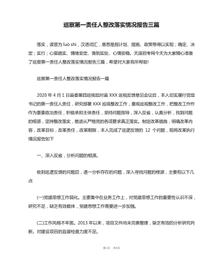 巡察第一责任人整改落实情况报告三篇 