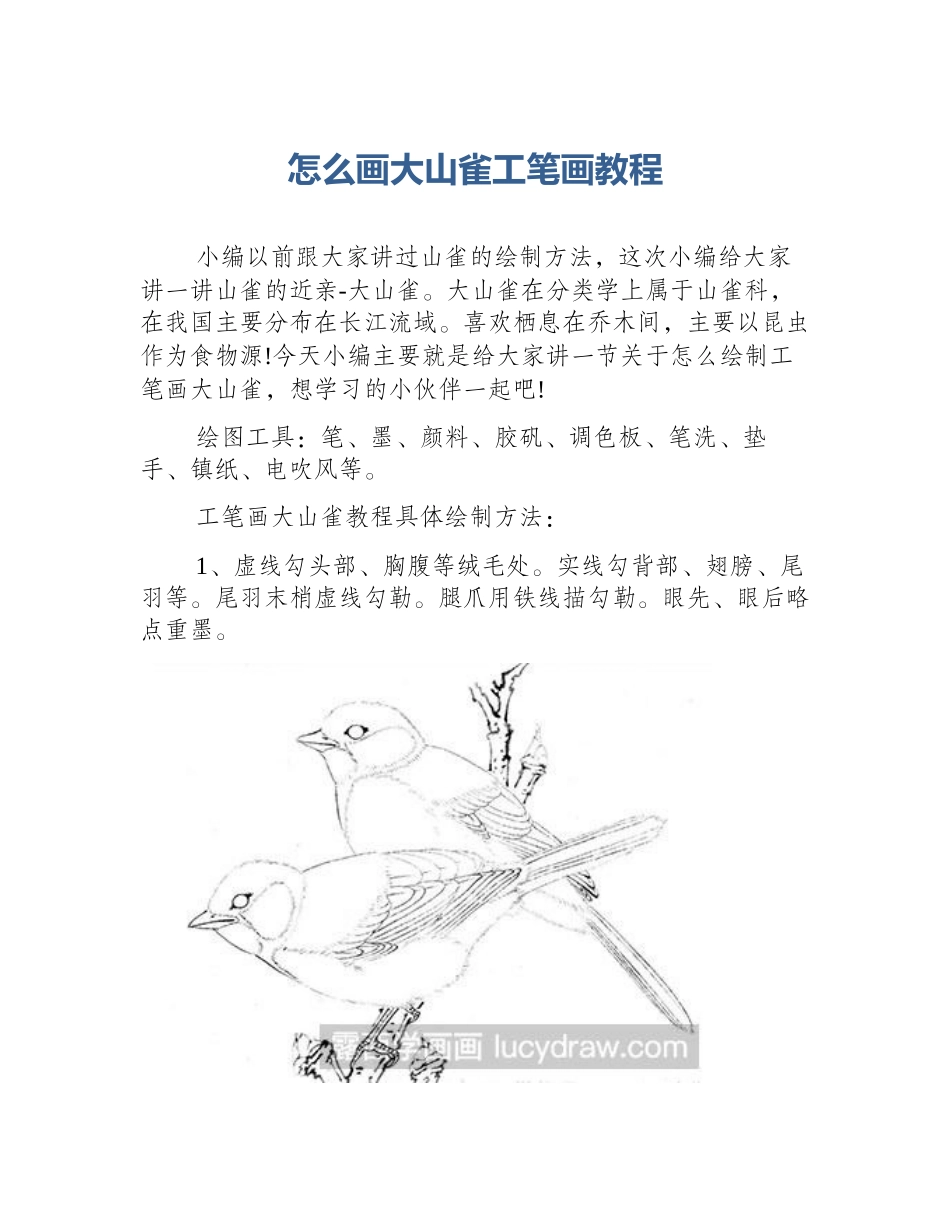 怎么画大山雀工笔画教程_第1页