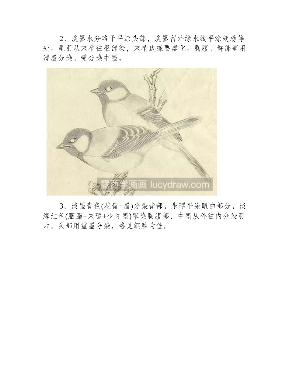 怎么画大山雀工笔画教程_第2页