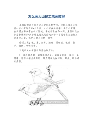怎么画大山雀工笔画教程