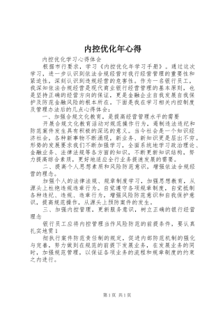 内控优化年心得_3