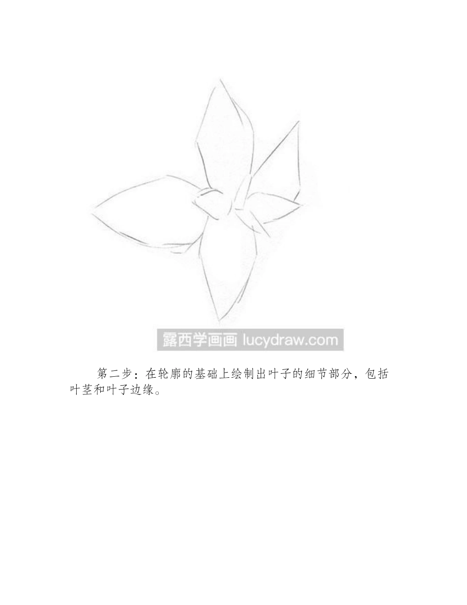 怎么绘制素描薄荷叶素描教程1_第2页