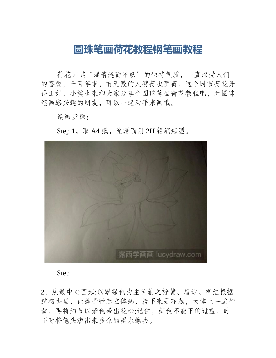 圆珠笔画荷花教程钢笔画教程_第1页