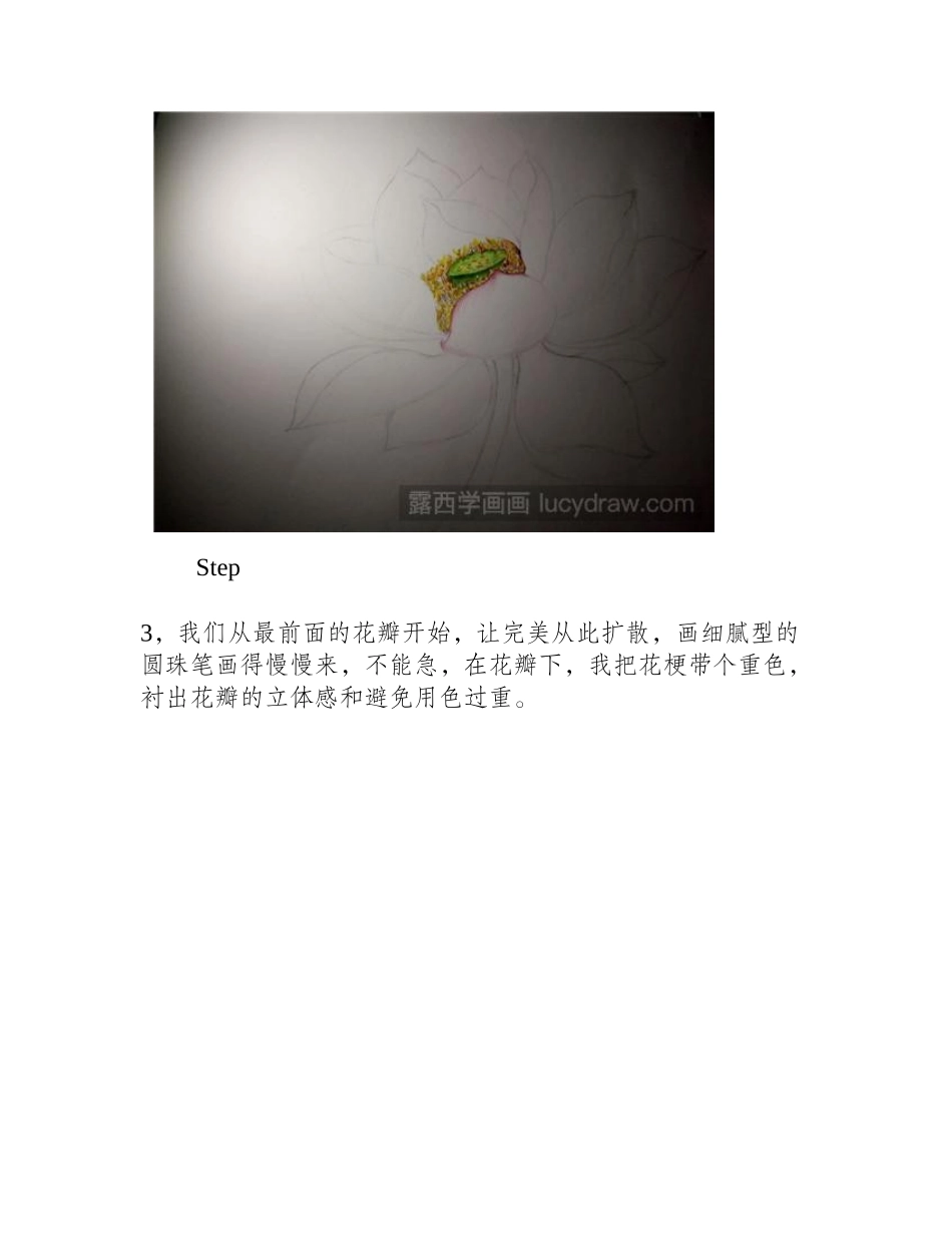 圆珠笔画荷花教程钢笔画教程_第2页