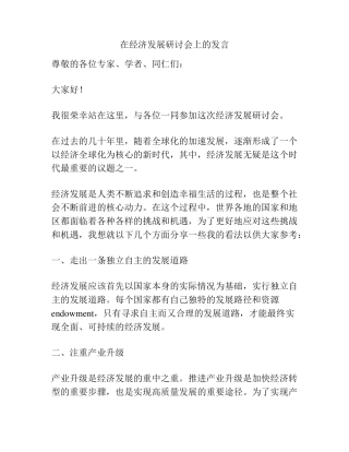 在经济发展研讨会上的发言 