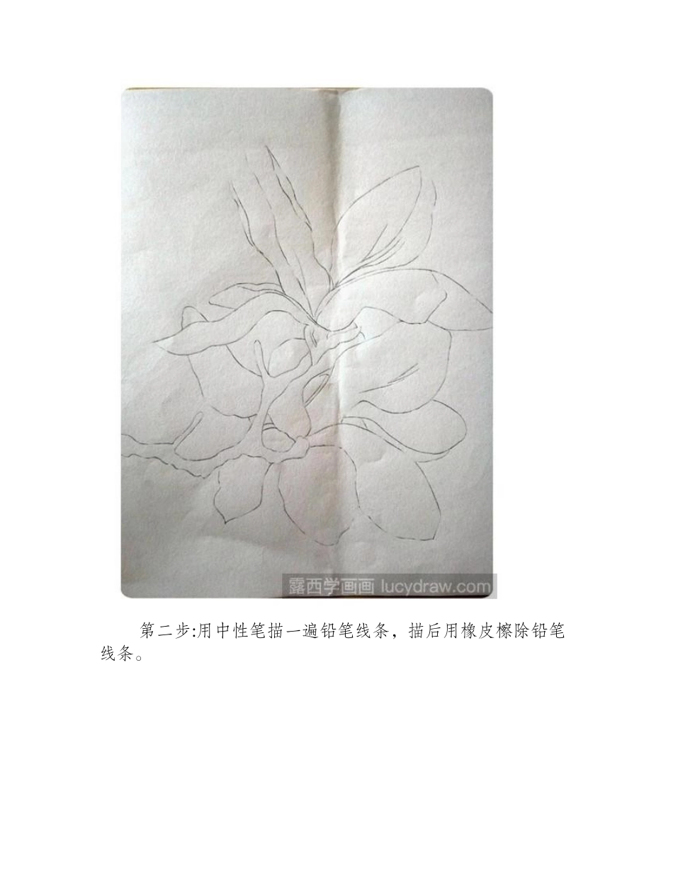 玉兰花插画教程插画教程_第2页