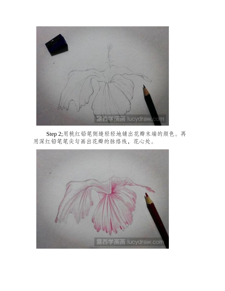 朱槿花的彩铅画法步骤彩铅画教程_第2页
