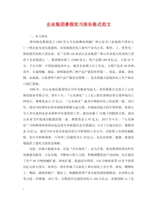 企业集团暑假实习报告格式范文