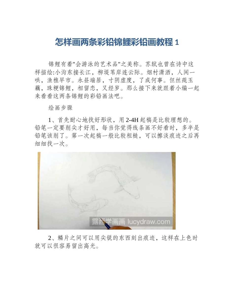 怎样画两条彩铅锦鲤彩铅画教程1_第1页