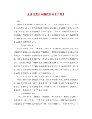 企业自查自纠整改报告【三篇】