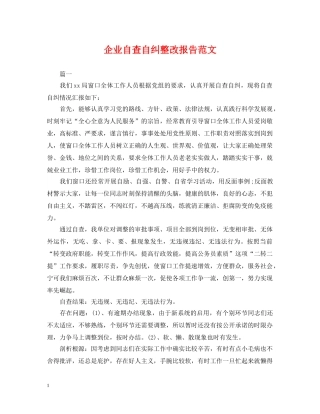 企业自查自纠整改报告范文